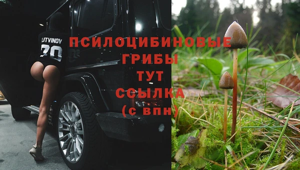 мяу мяу мука Алзамай