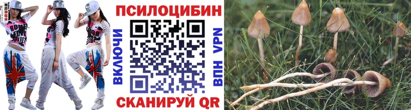 магазин продажи наркотиков  Островной  Галлюциногенные грибы MAGIC MUSHROOMS 